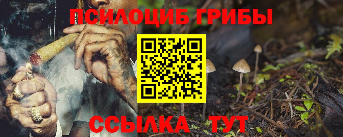 Псилоцибиновые грибы мухоморы  Псилоцибиновые грибы Cubensis  Вход с VPN  Ангарск 